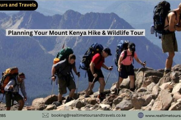 Mount Kenya Tours and trekking